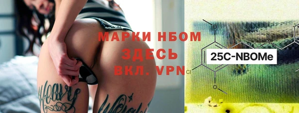 ГАЛЛЮЦИНОГЕННЫЕ ГРИБЫ Богданович