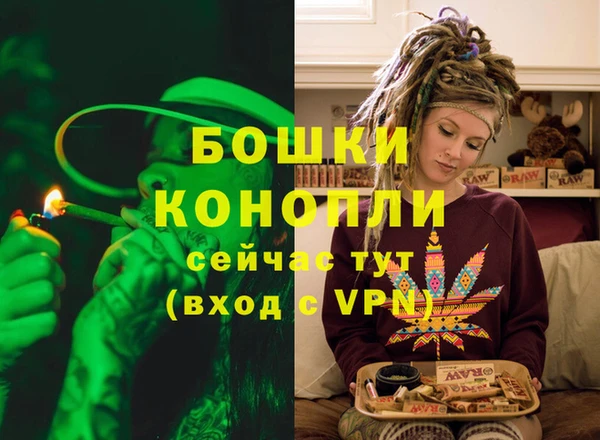 ГАЛЛЮЦИНОГЕННЫЕ ГРИБЫ Богданович