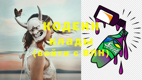 ГАЛЛЮЦИНОГЕННЫЕ ГРИБЫ Богданович