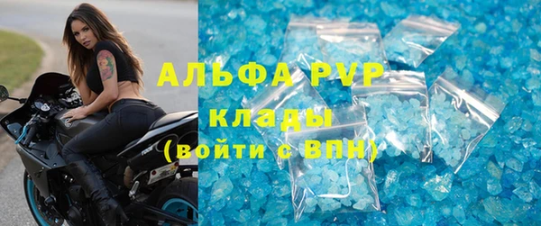 стаф Белокуриха