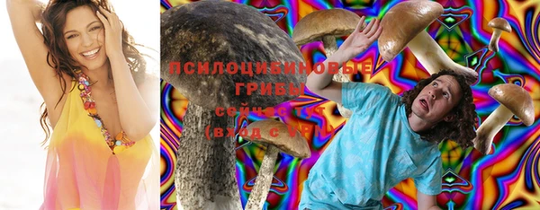 стаф Белокуриха