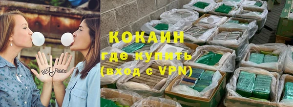 ГАЛЛЮЦИНОГЕННЫЕ ГРИБЫ Богданович